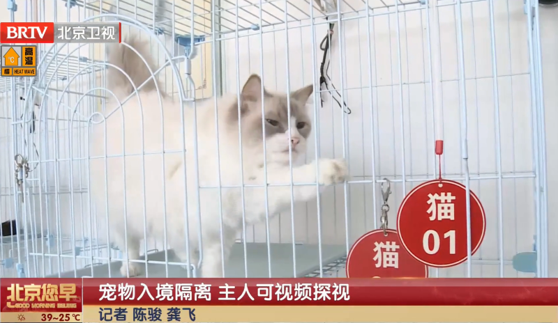探视掠影4