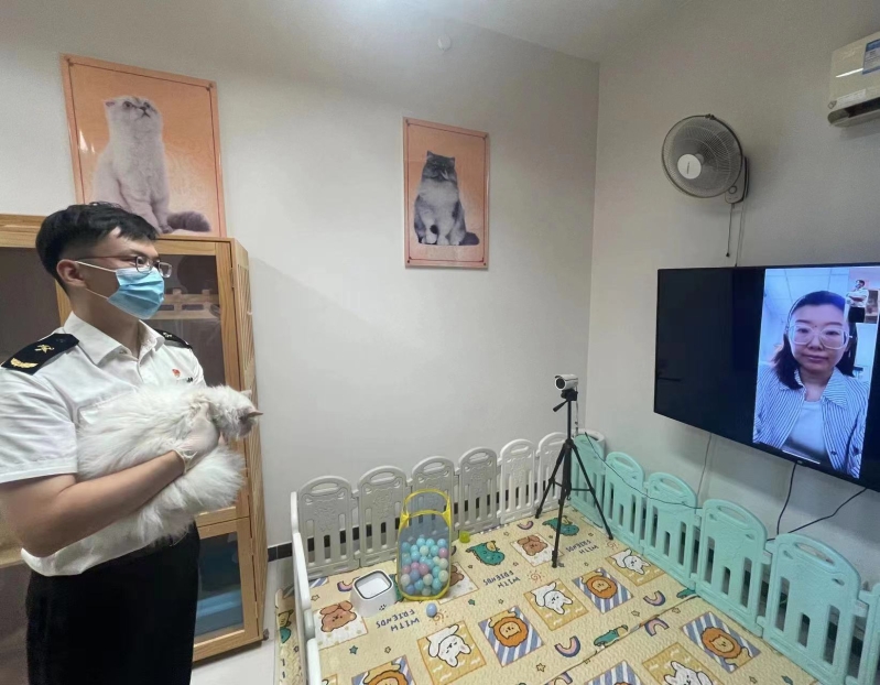 探视掠影6