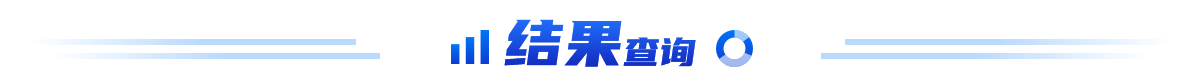 结果查询