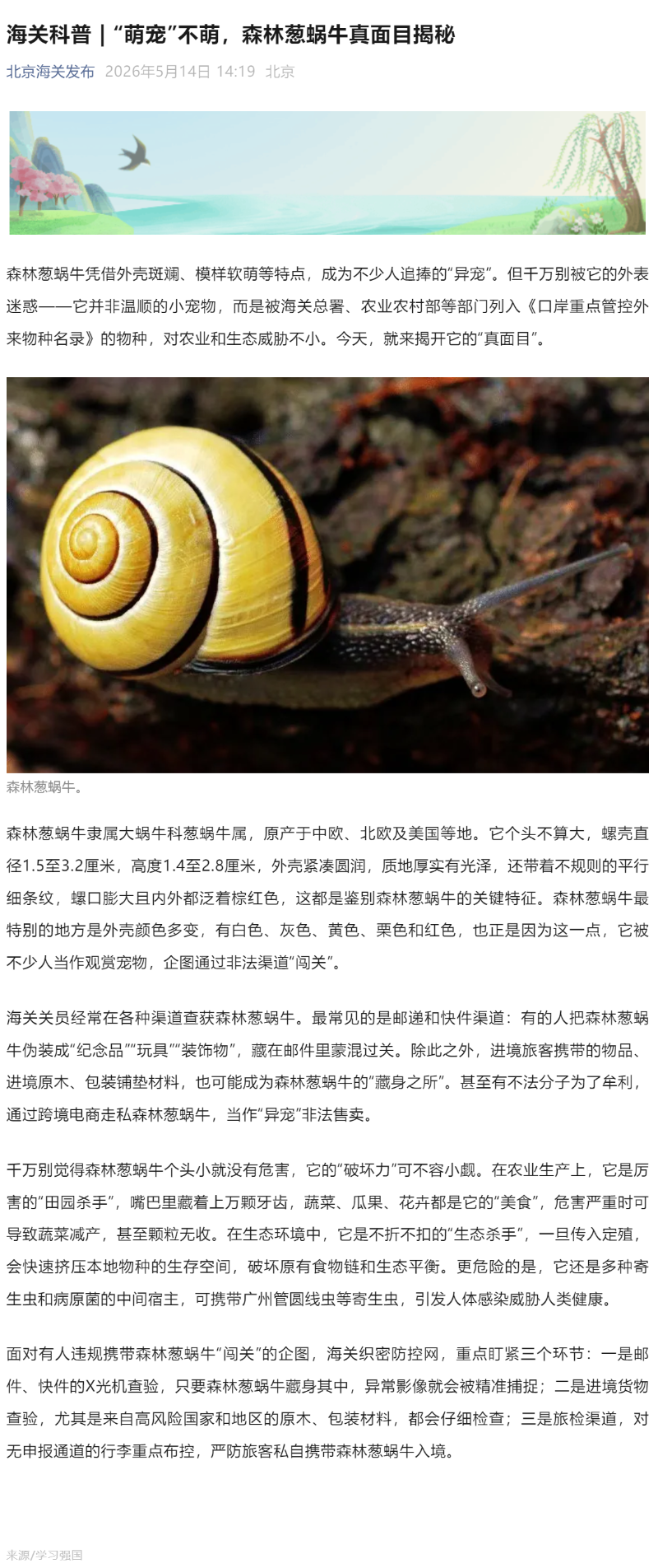 海关科普 _ “萌宠”不萌，森林葱蜗牛真面目揭秘