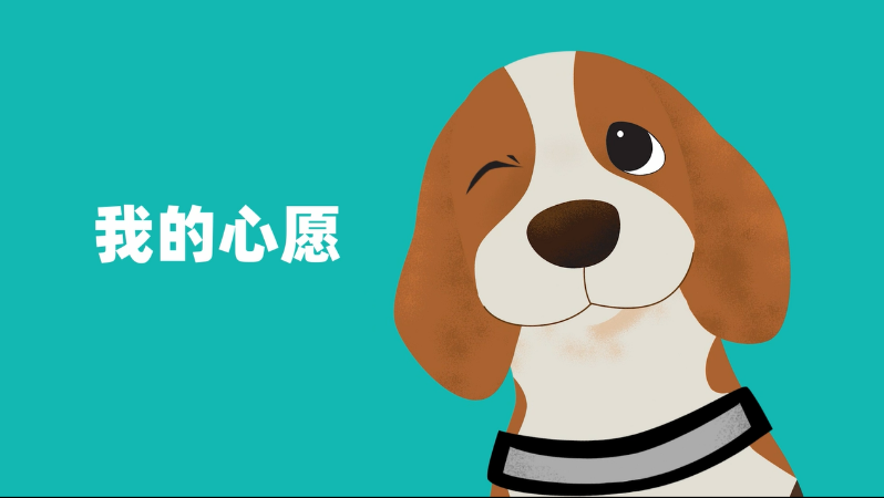 我的心愿