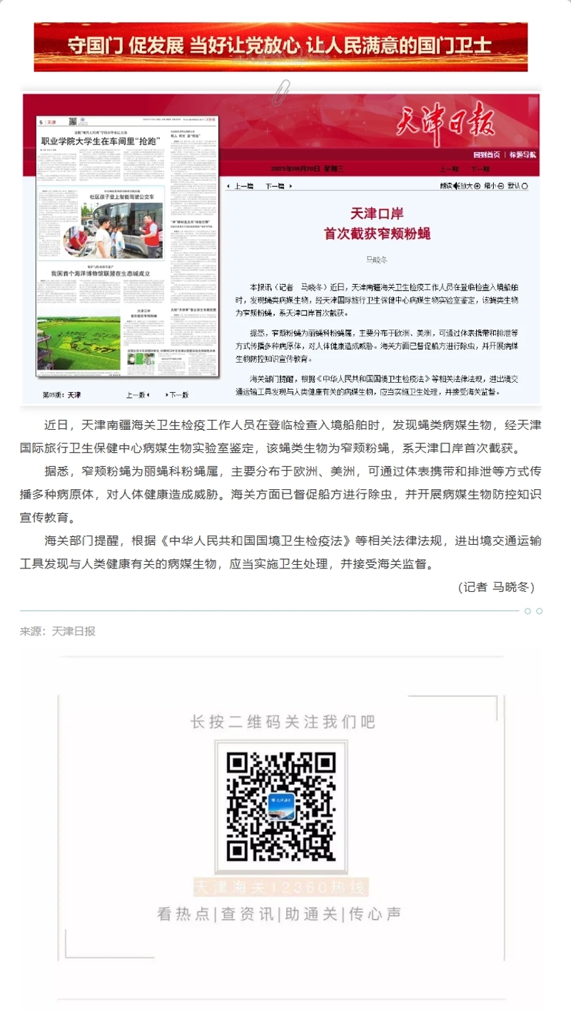 【津关发布】天津口岸首次截获窄颊粉蝇
