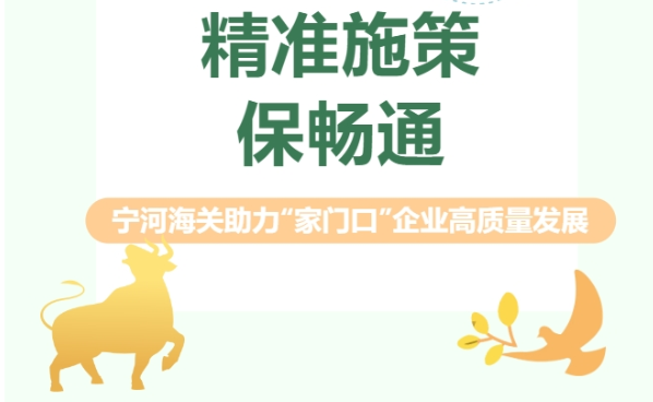宁河海关（二）