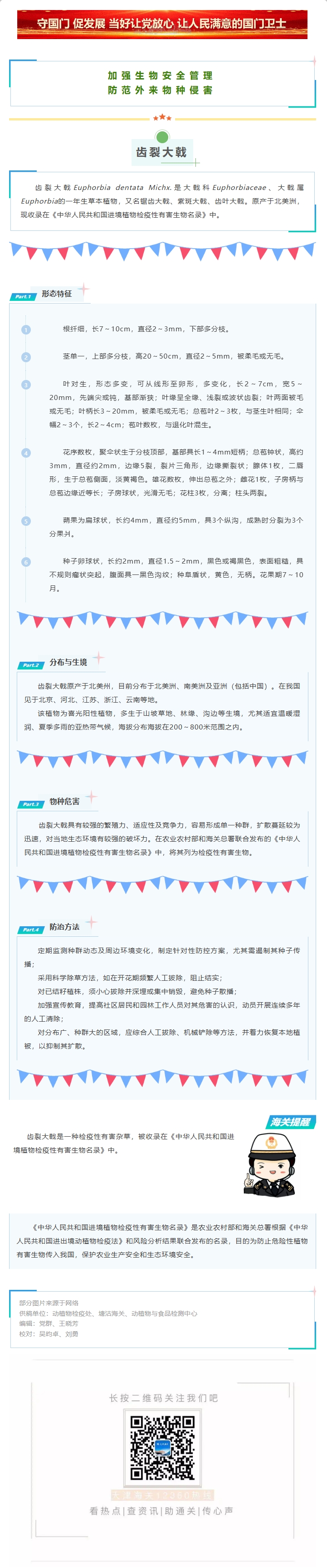 防范外来物种入侵丨齿裂大戟