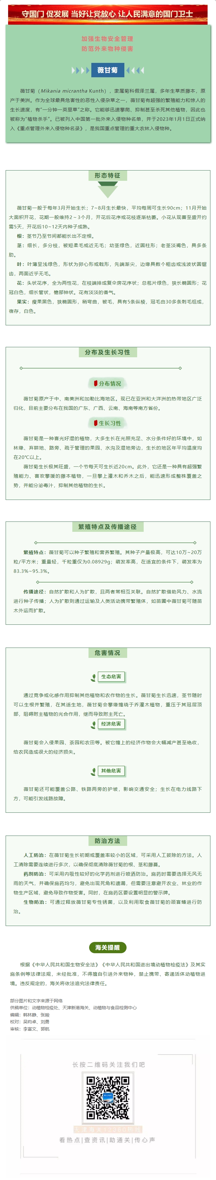 防范外来物种入侵丨薇甘菊