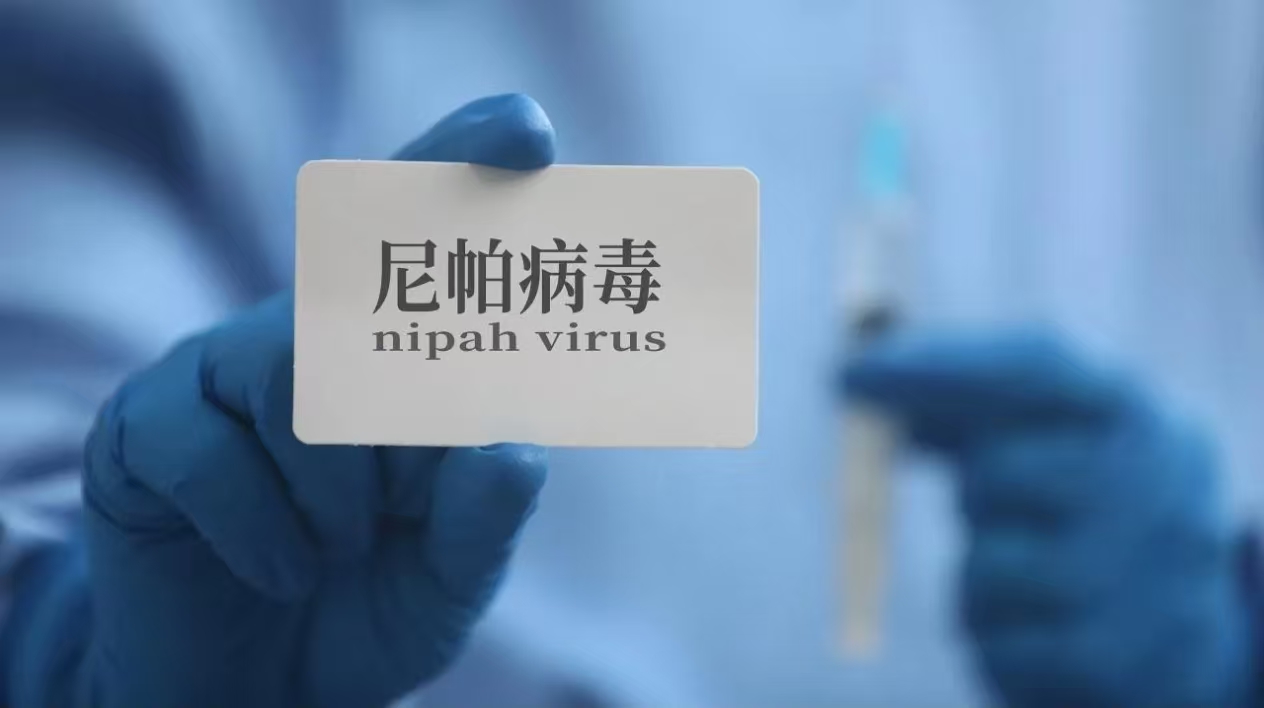 海关科普丨一文带你了解尼帕病毒病